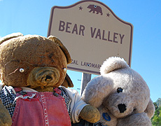 Bearbuddys in Bear Valley Ca photo
