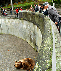 Old Bern Bear Pit and Pedro photo