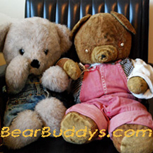 BearBuddys.com Toy Stuffed Plush Animal image